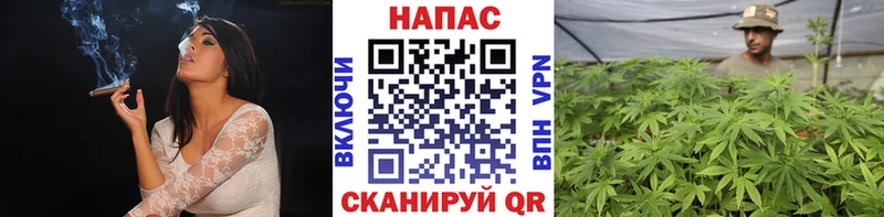 Канабис сатива  Камбарка 